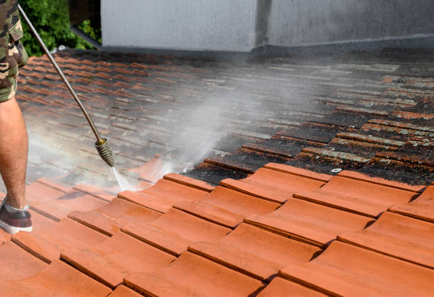 Best Affordable Pressure Washing  in Country Clu, FL